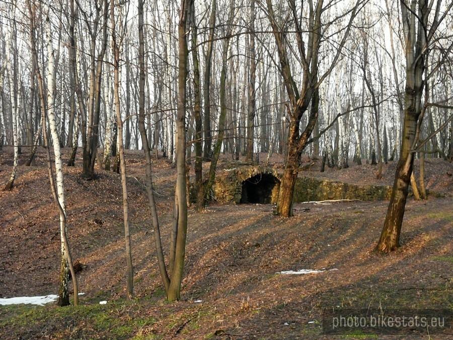 Wiosenny styczeń :)