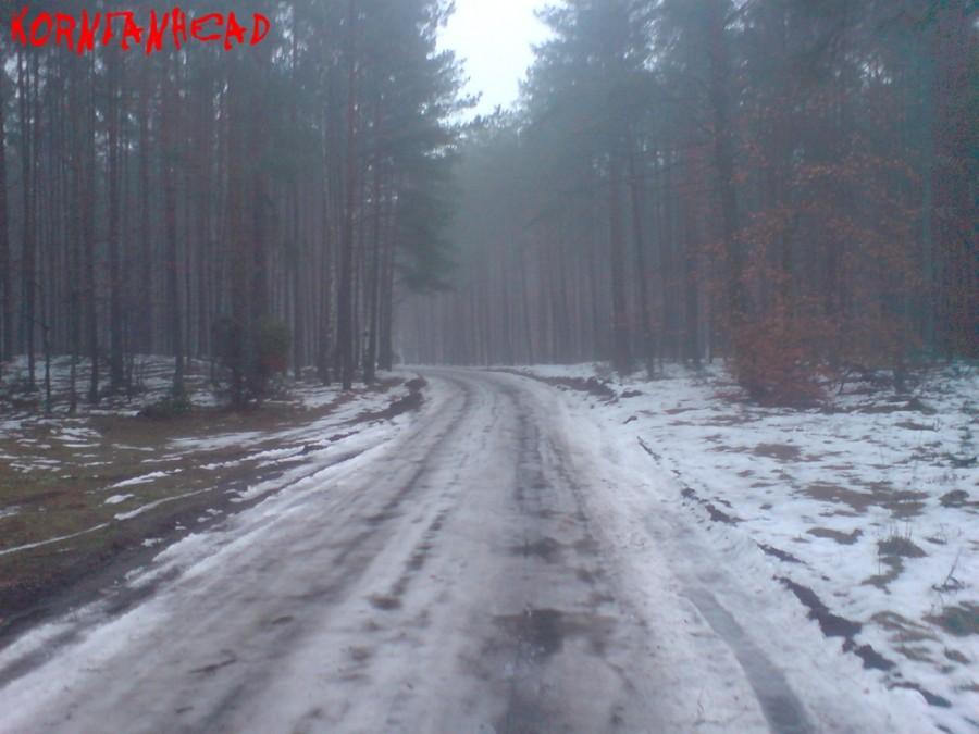 Lód i śnieg na leśnej drodze