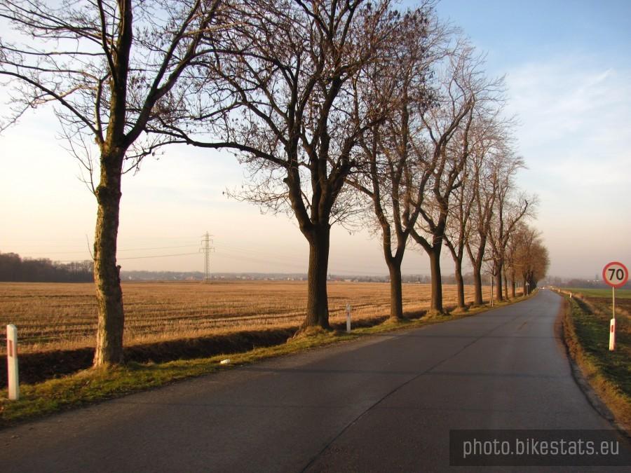 na pętli