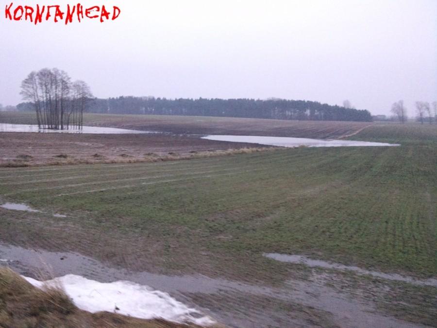 Temperatura dodatnia a jednak śnieg się trzyma