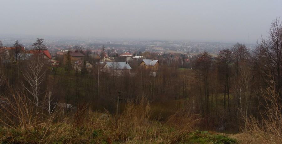 Widok na Rzeszów ze Słociny