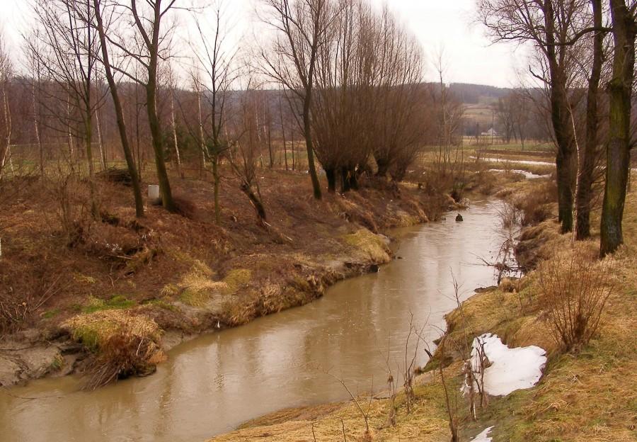 Rzeczka w Kielnarowej
