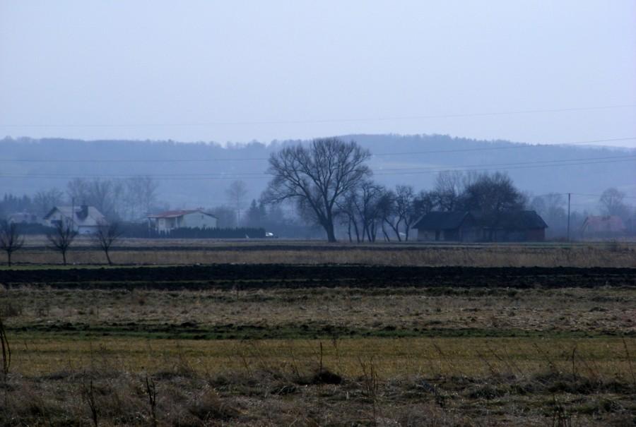 Pola w Budziwoju