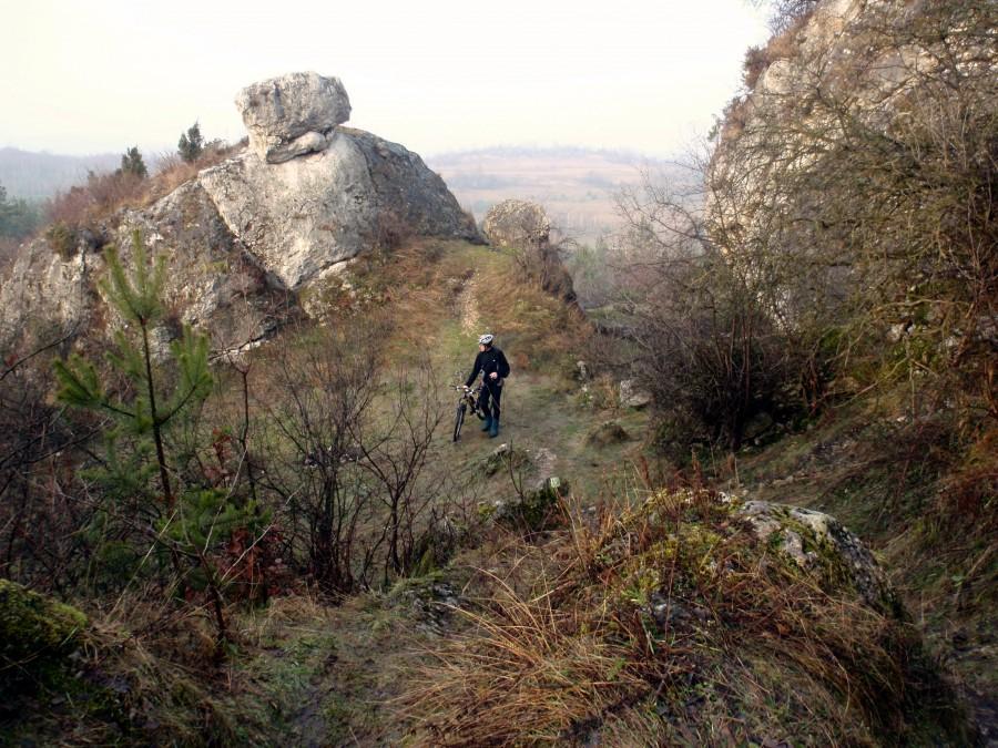 W Górach Towarnych