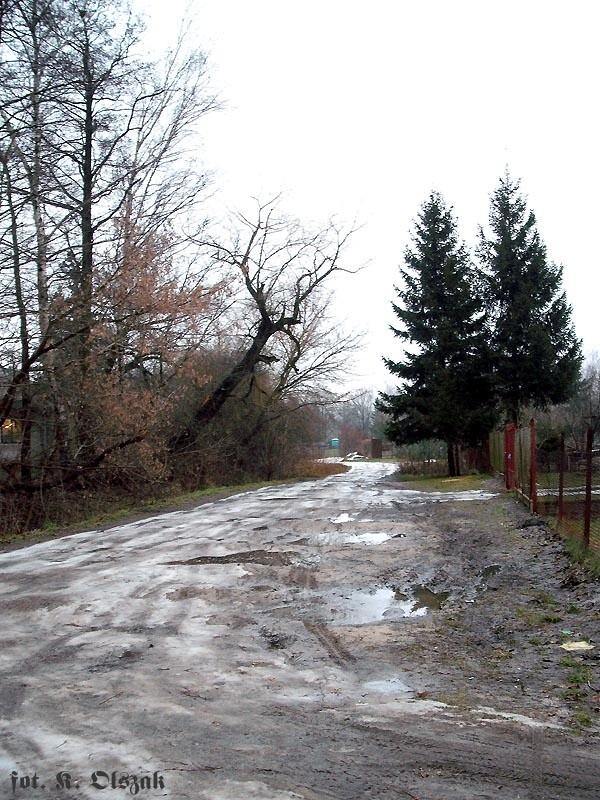 Lodowisko błotno-wodne