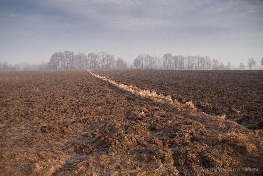 ziemia wygrzewa się w słońcu