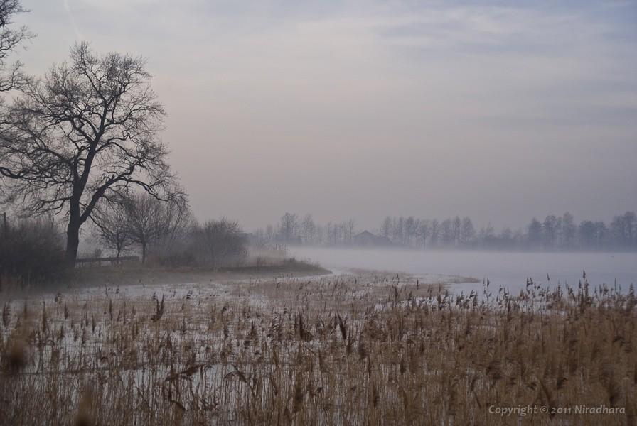 cisza i mgła