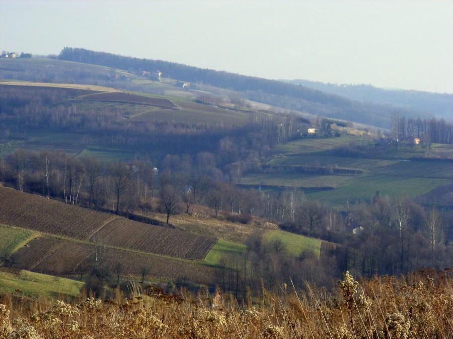 Góreczki