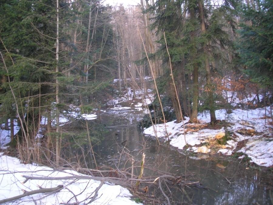 Beskidzkie Morskie Oko