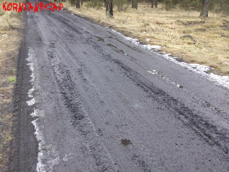 Błoto na leśnych drogach po roztopach