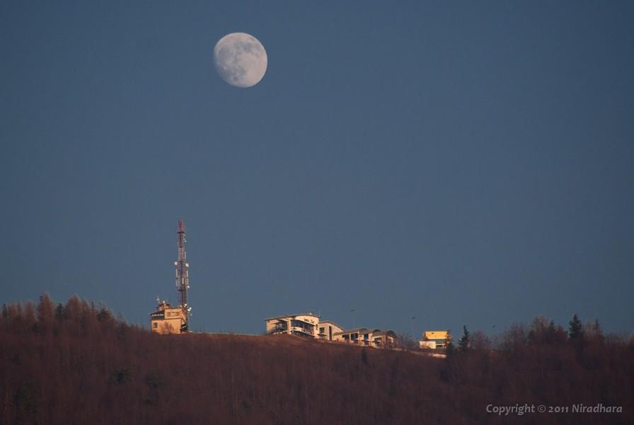 Łysy nad Żarem