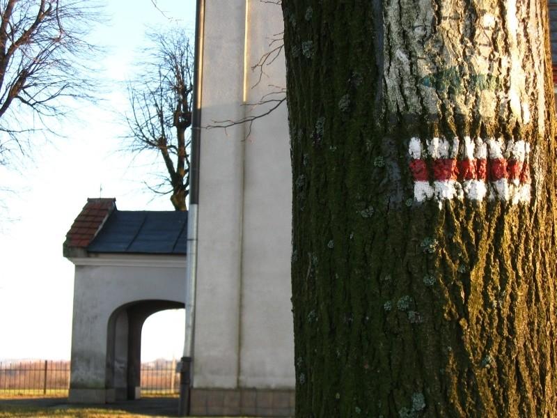 Szlaki na Magdalence.