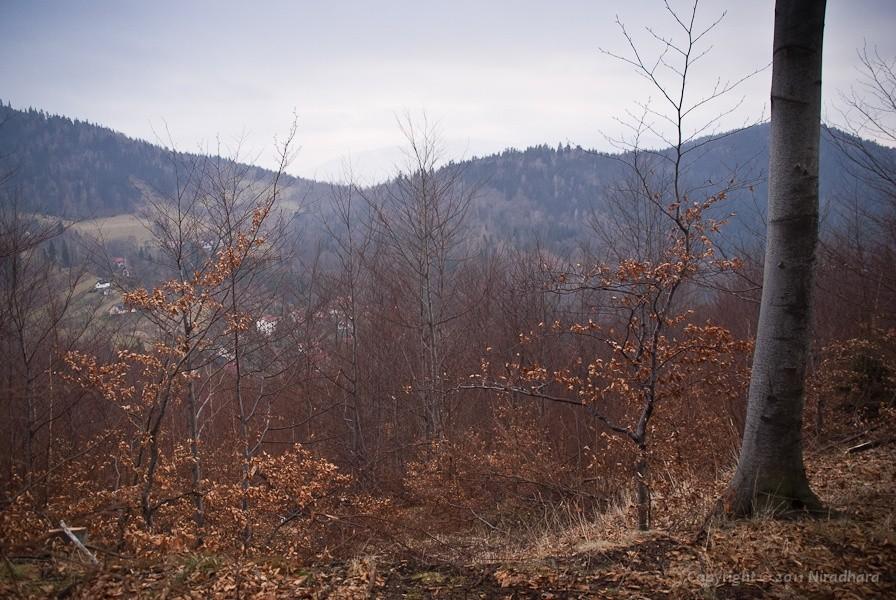 widoczek z drogi na Przegibek