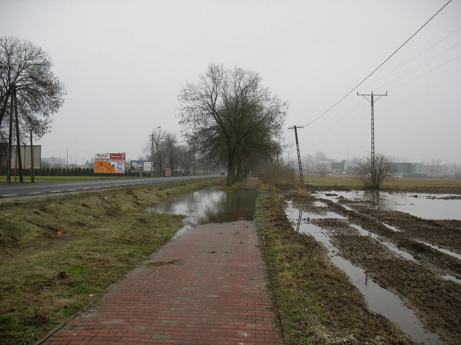 Ścieżka rowerowa łącząca Lesznowolę z Magdalenką