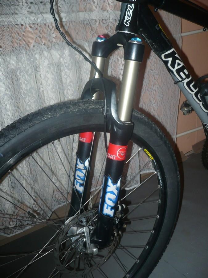 Nowy Fox