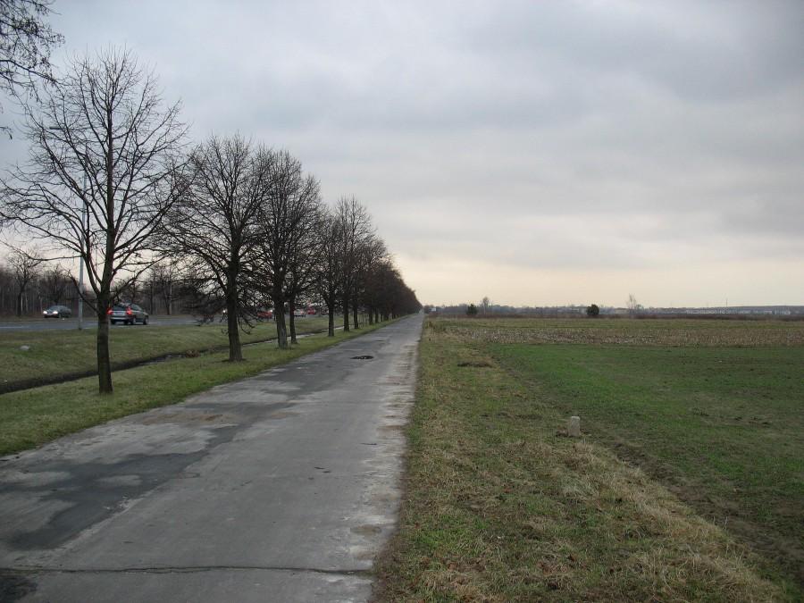 Ścieżka rowerowa Wilanów - Powsin