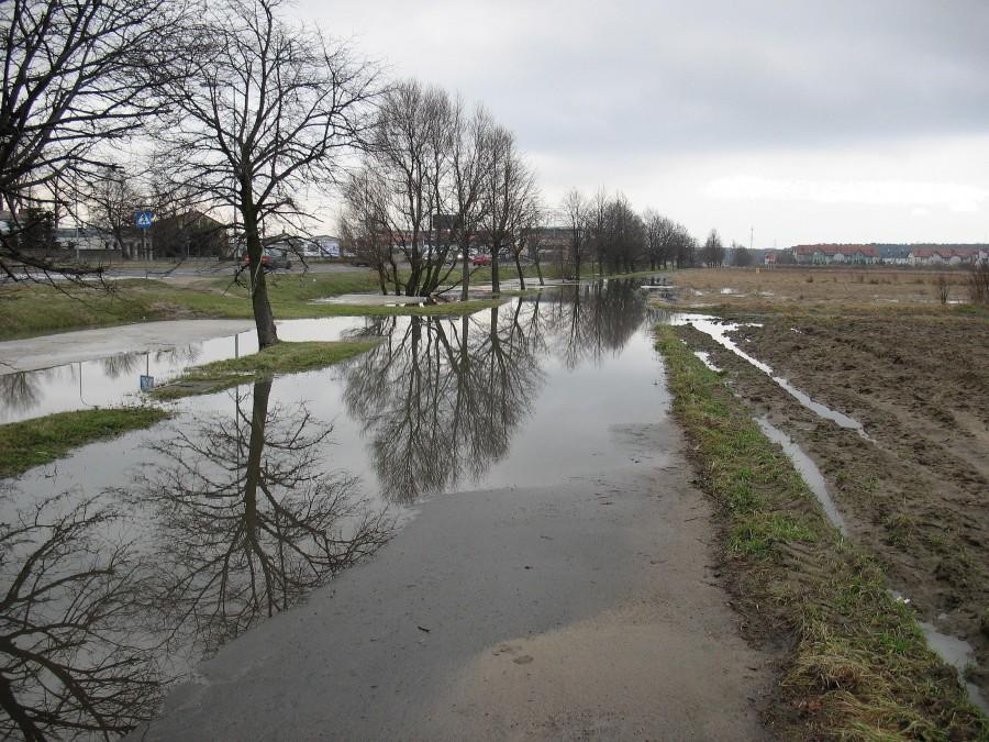 Rozlewisko na ścieżce rowerowej