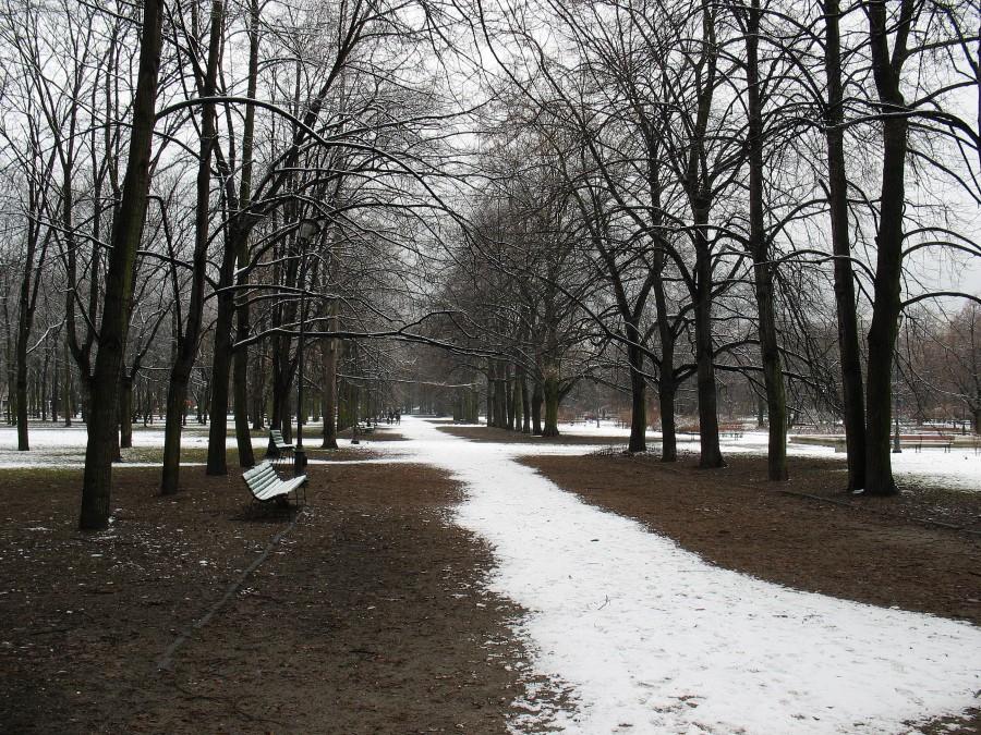 Park Kultury