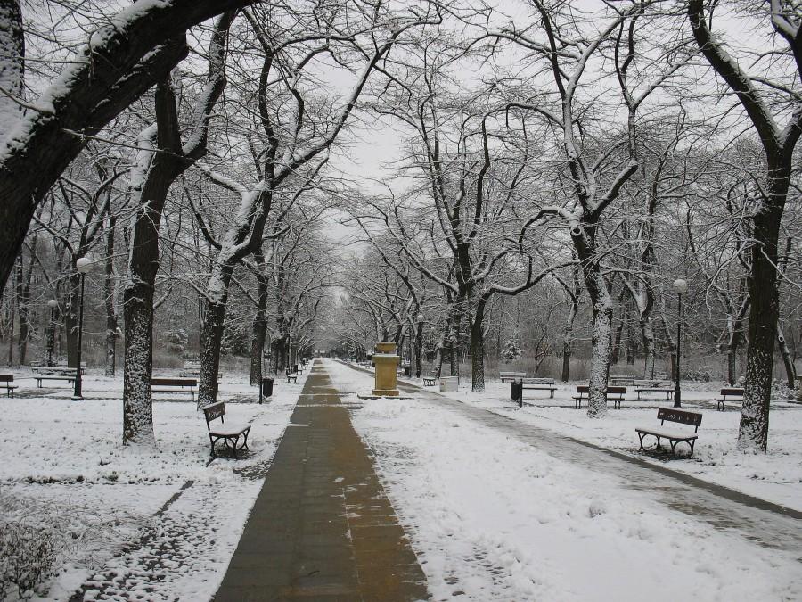 Park Dreszera