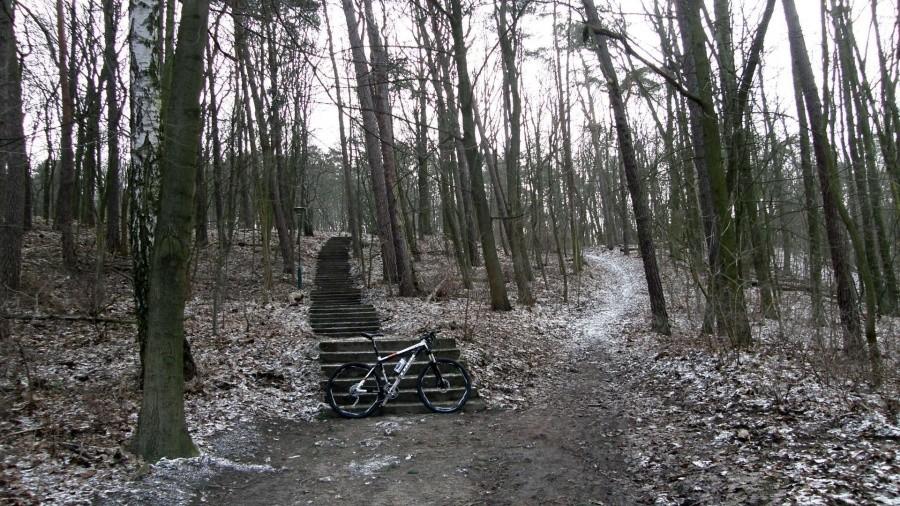 Podjazd do Ludwikowa