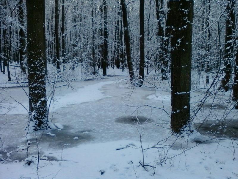 Mokradełko