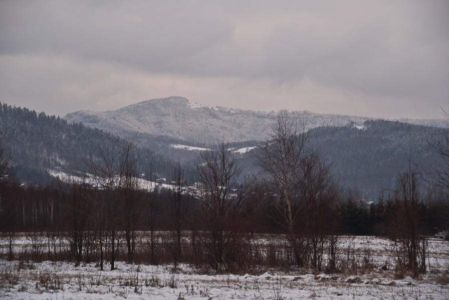 widok z drogi
