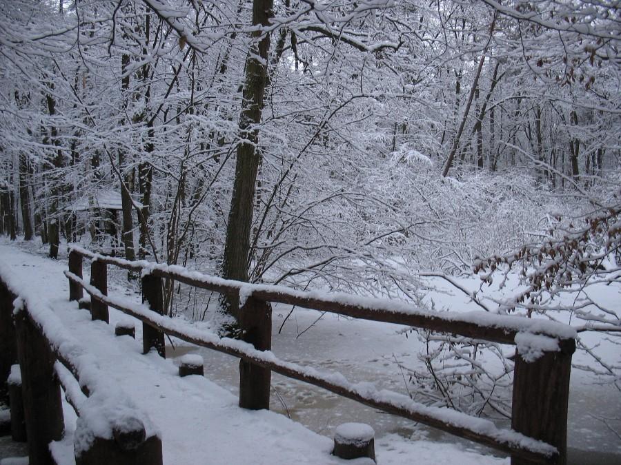 Mostek nad stawem