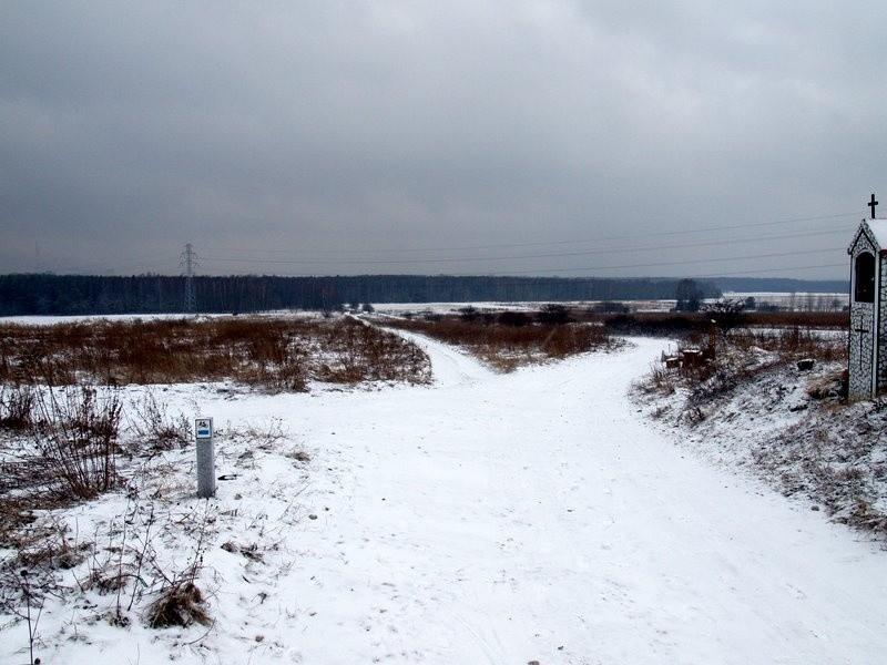 Rozwidlenie szlaków