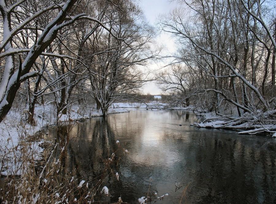 Jeziorka