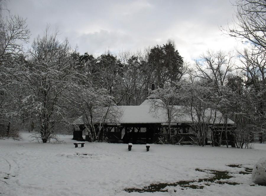 Zimne Doły