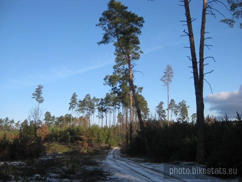 W Puszczy Zielonka na drogach zalegał jeszcze śnieg.