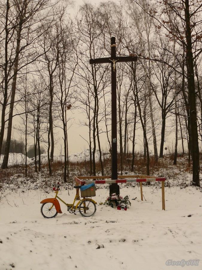 Krzyż znad źródła Św. Sarkandra w nowym miejscu.