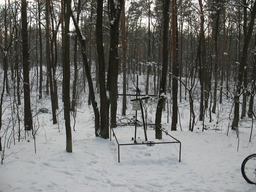 Las Młociński
