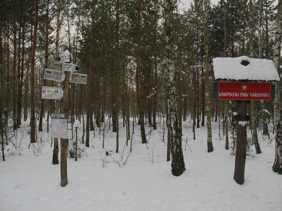 Dąbrowa Leśna