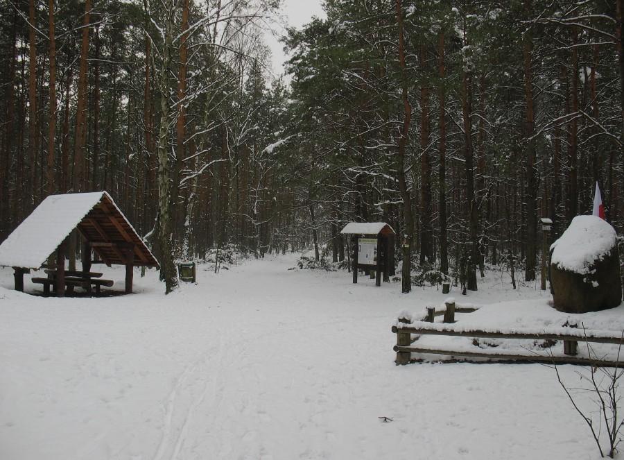 Nadłuże