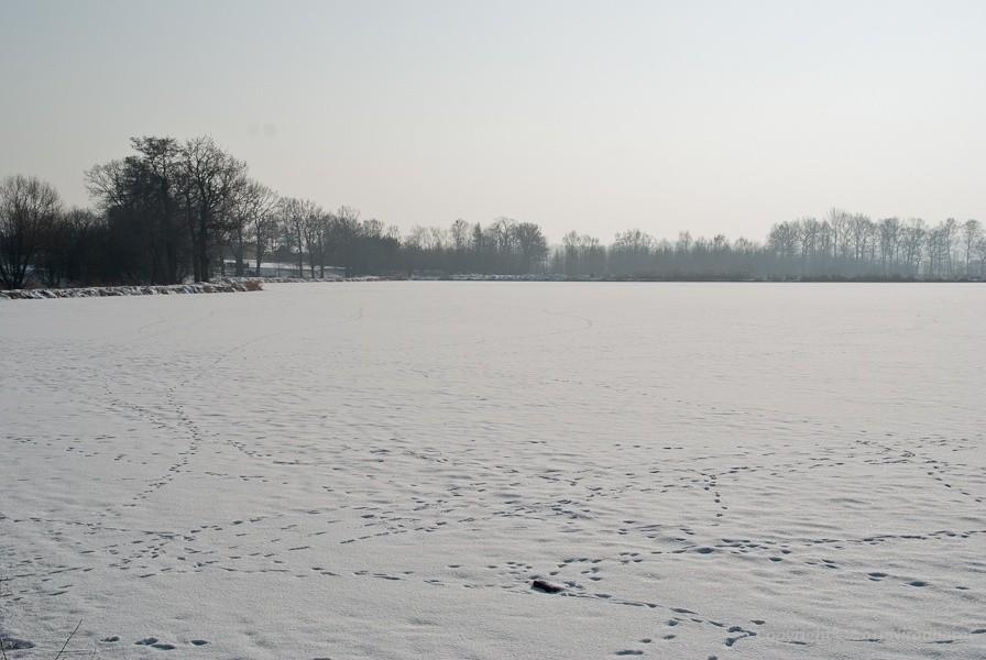 ślady na lodzie