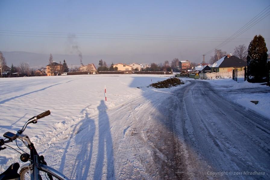 z braku nadwornego fotografa