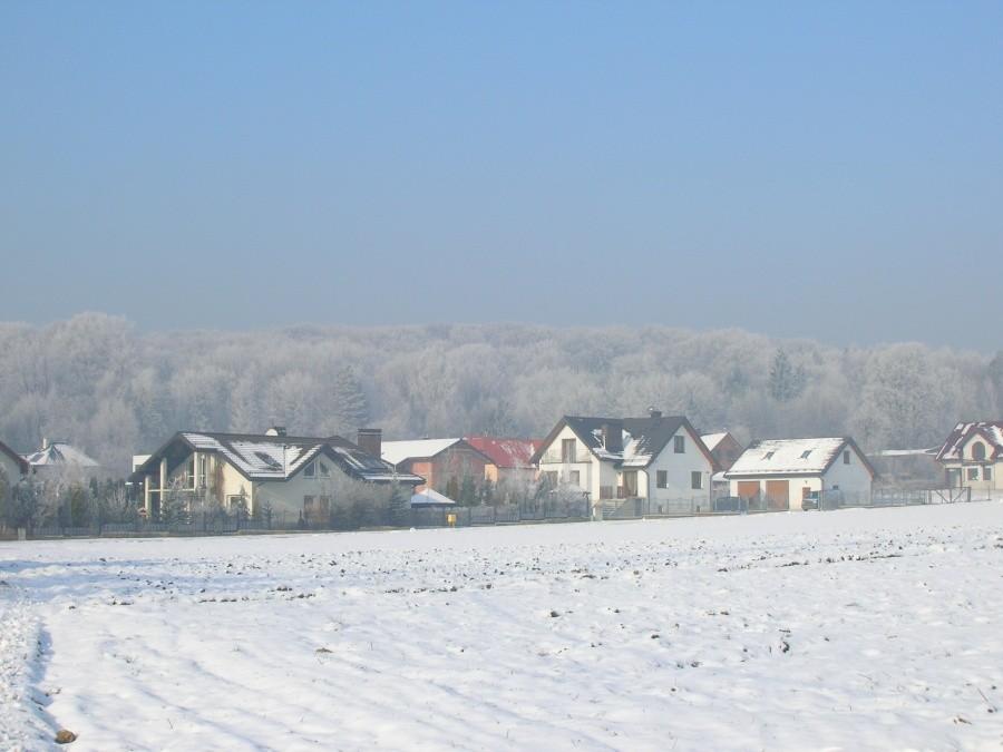 szadź w Segiecie