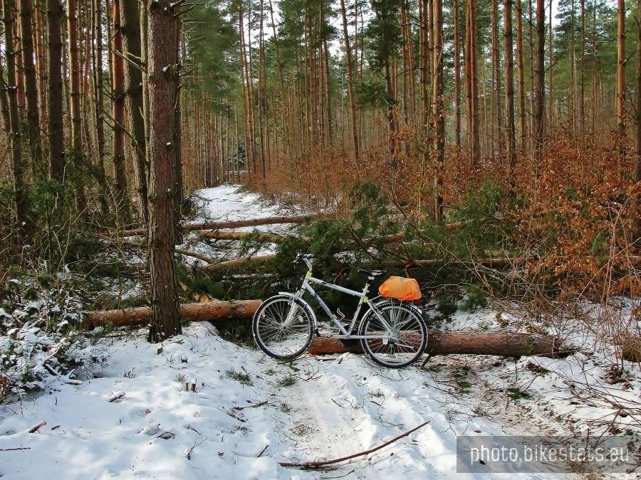 Przeszkoda na trasie mojego przejazdu.