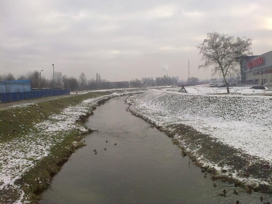Widok na Wartę z kaczorkami