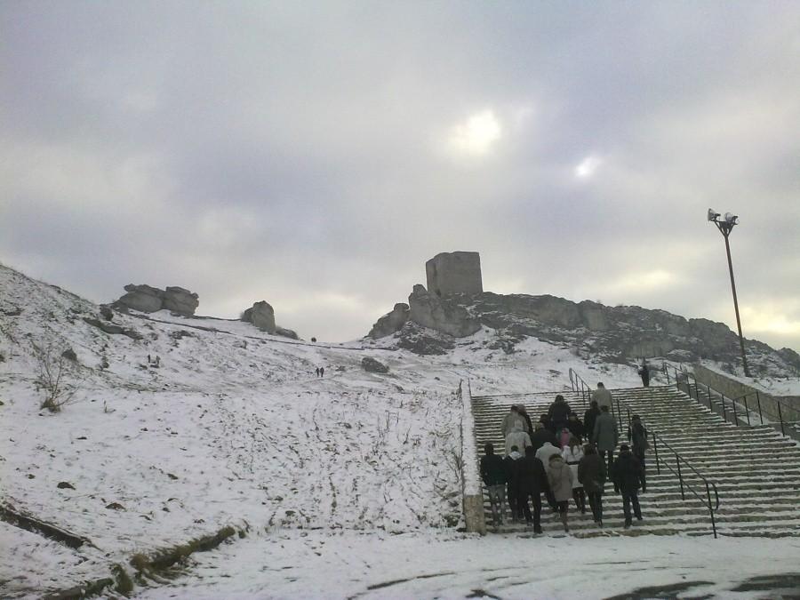 Zamek w Olsztynie II