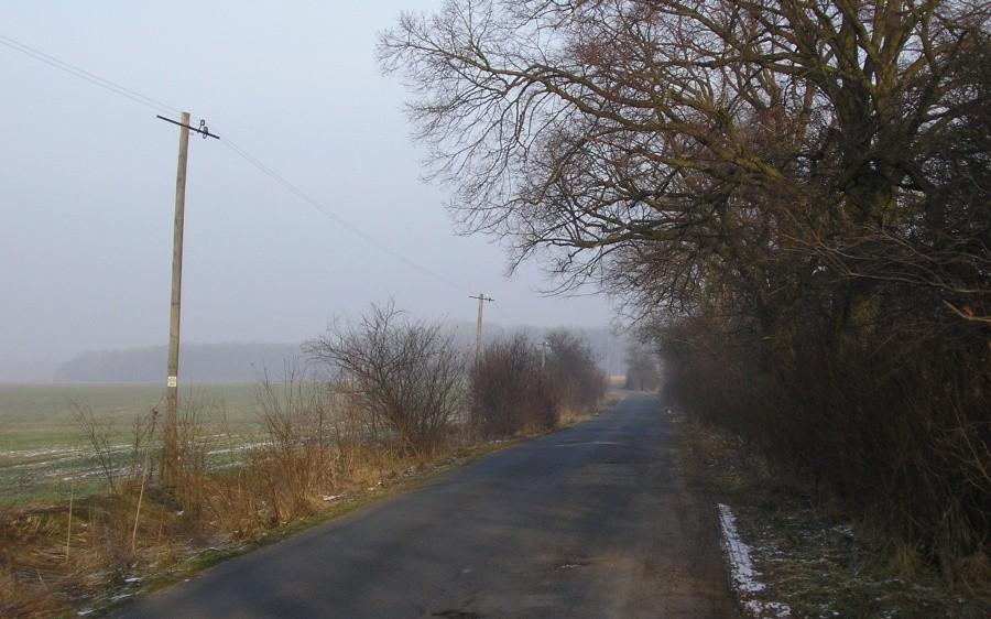 Pusta boczna szosa, stare drewniane słupy - to lubię :)