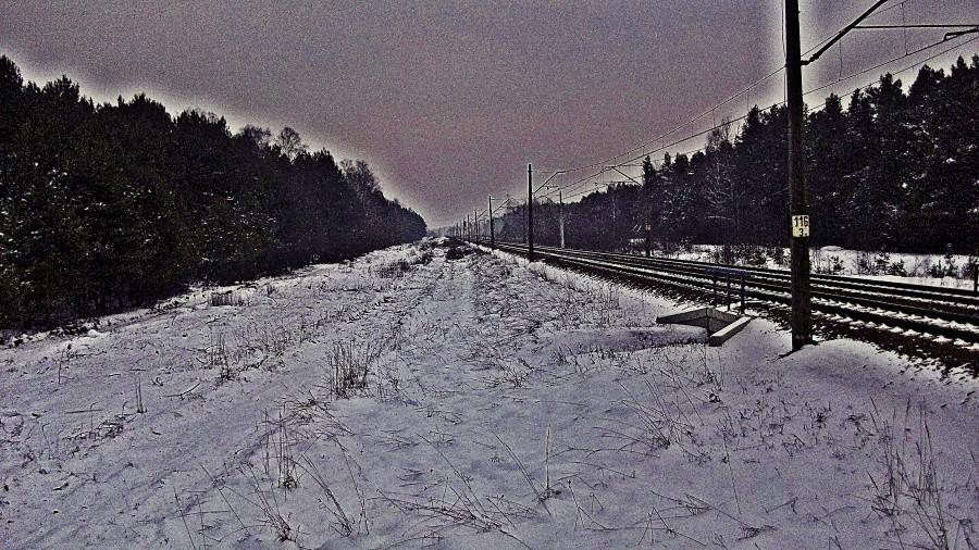 Widok w stronę Puław