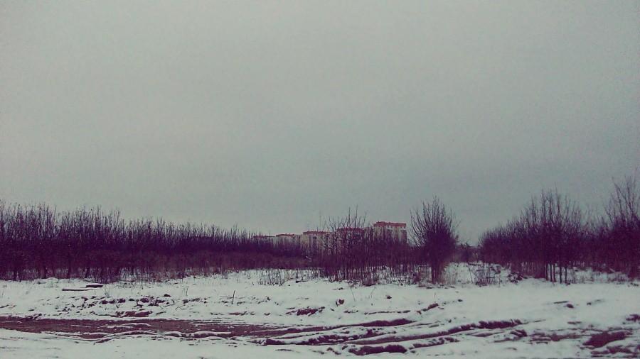 Widok na wieżowce Niwy