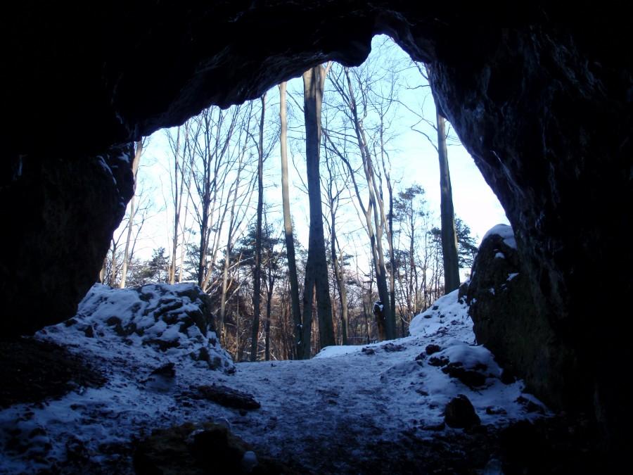Widok z Jaskini Olsztyńskiej