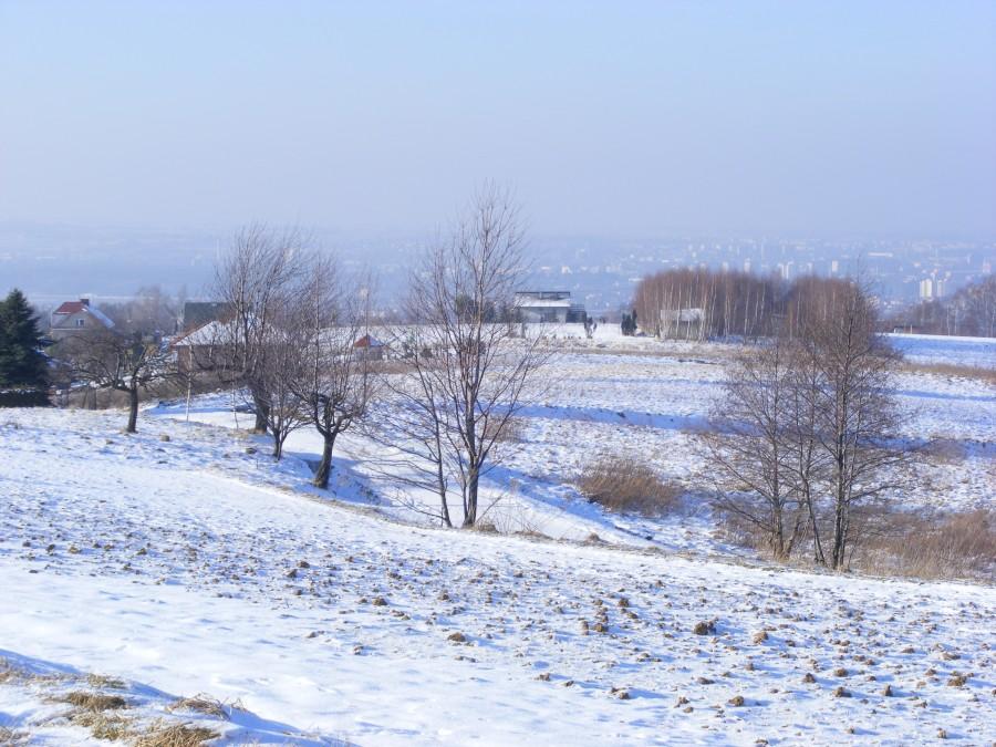 Widok z pod przekaźnika na Matysówce- w tle Rzeszów