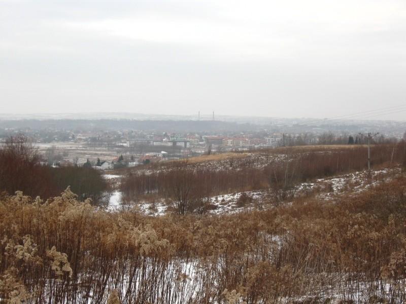Widok na Lisią Górę i Białą.