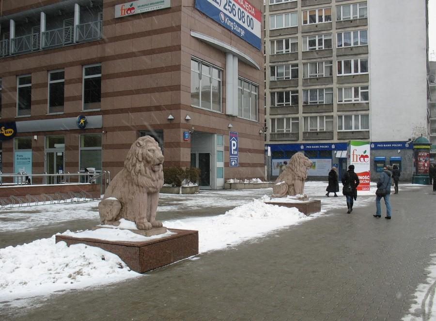 Lwy kina Moskwa