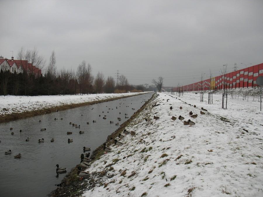 Kanał Nowa Ulga