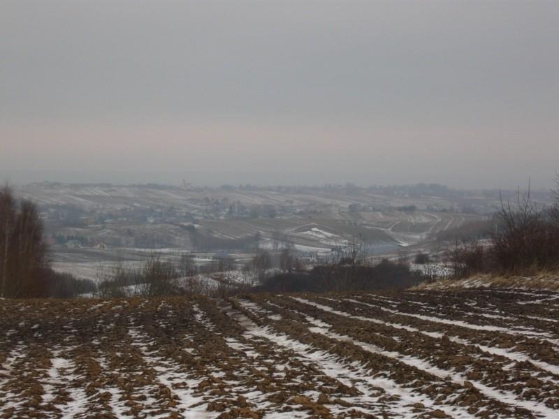 Kielanówka- widok na Przybyszówkę i Trzcianę w oddali.